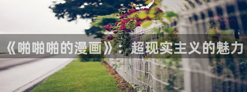 香蕉漫画免费阅读看漫画下拉式笔趣